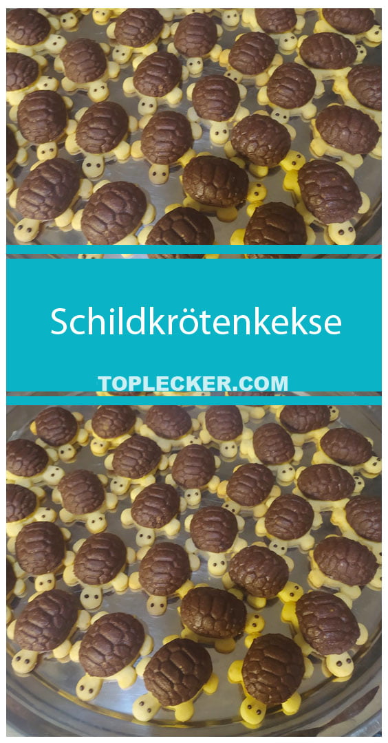 Schildkrötenkekse