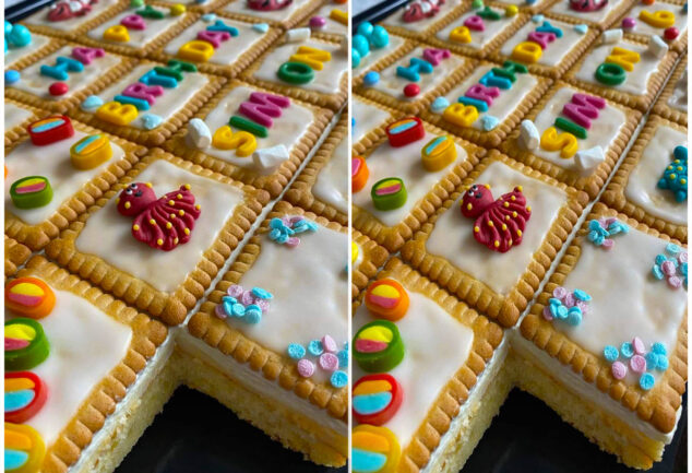 Quark Mandarinen Kuchen ohne Boden.
